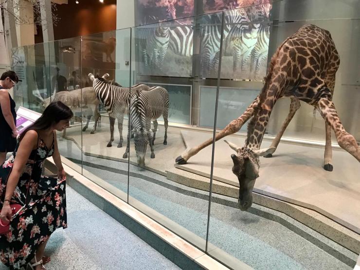 1395ab3b-bb5a-4b1d-b838-25b31462436e